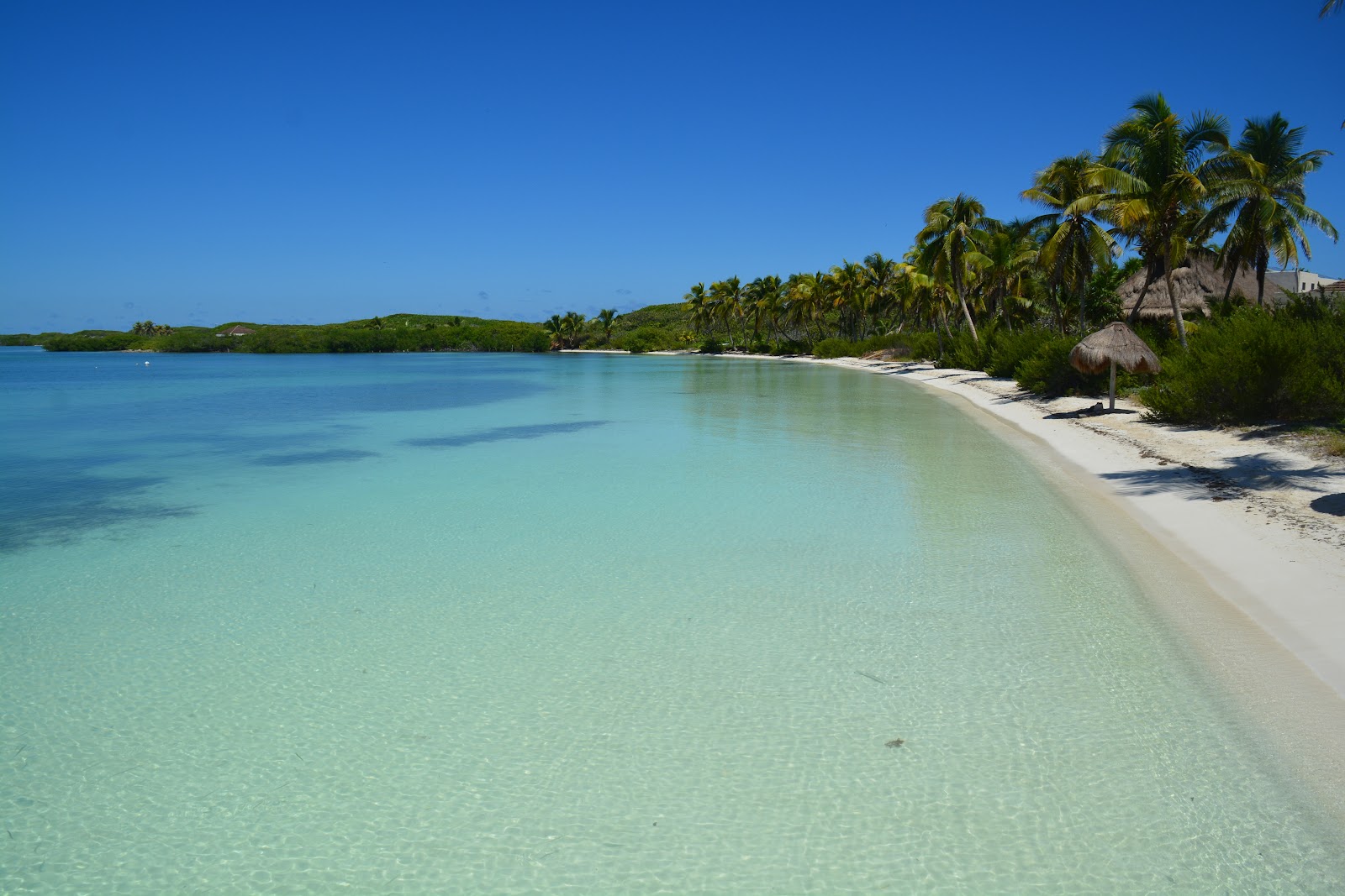 Playa de arena blanca y agua turquesa de Isla Contoy, con palmeras y una palapa junto a la orilla