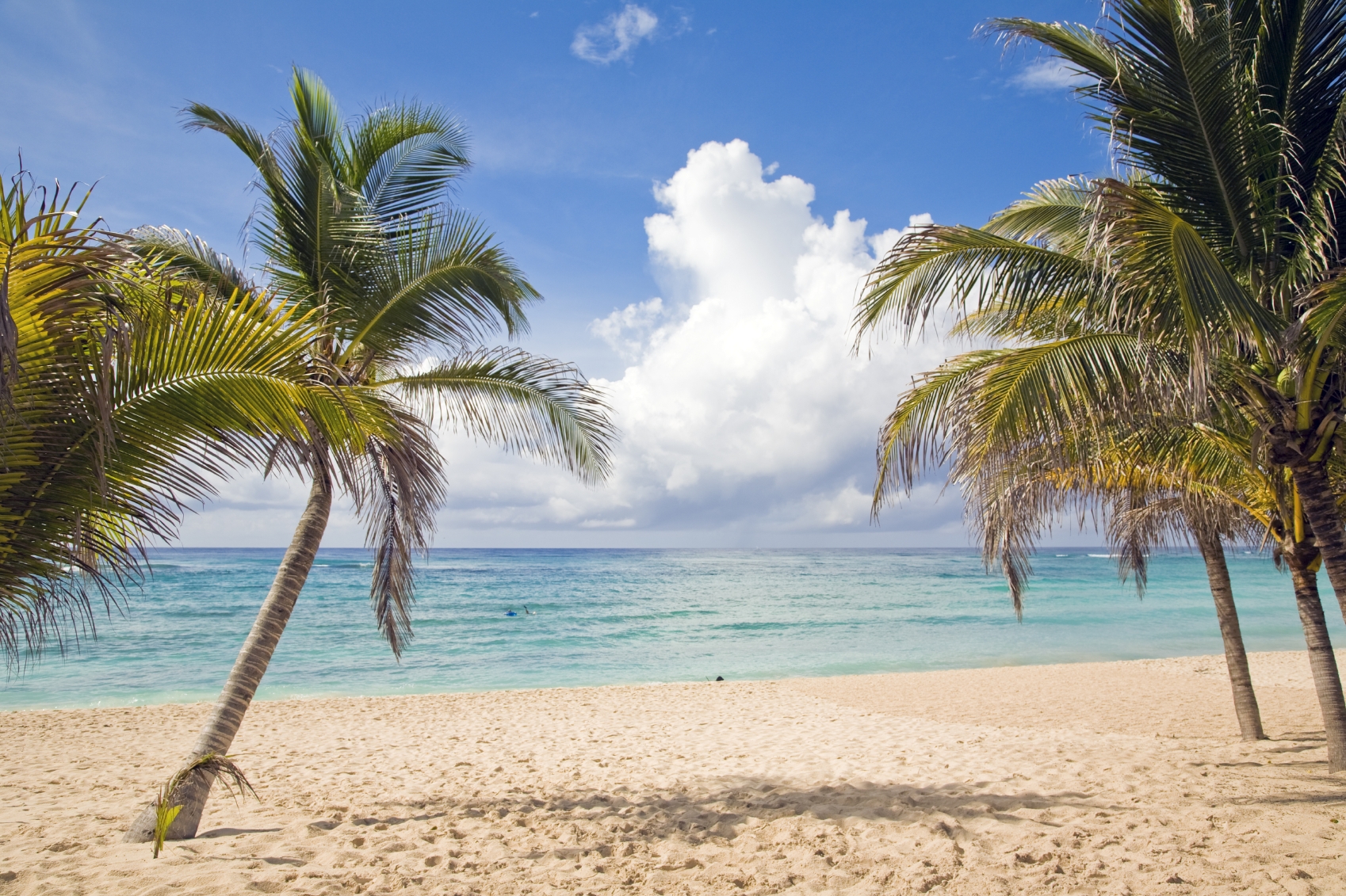 Playa de Riviera Maya con palmeras, arena clara y mar Caribe