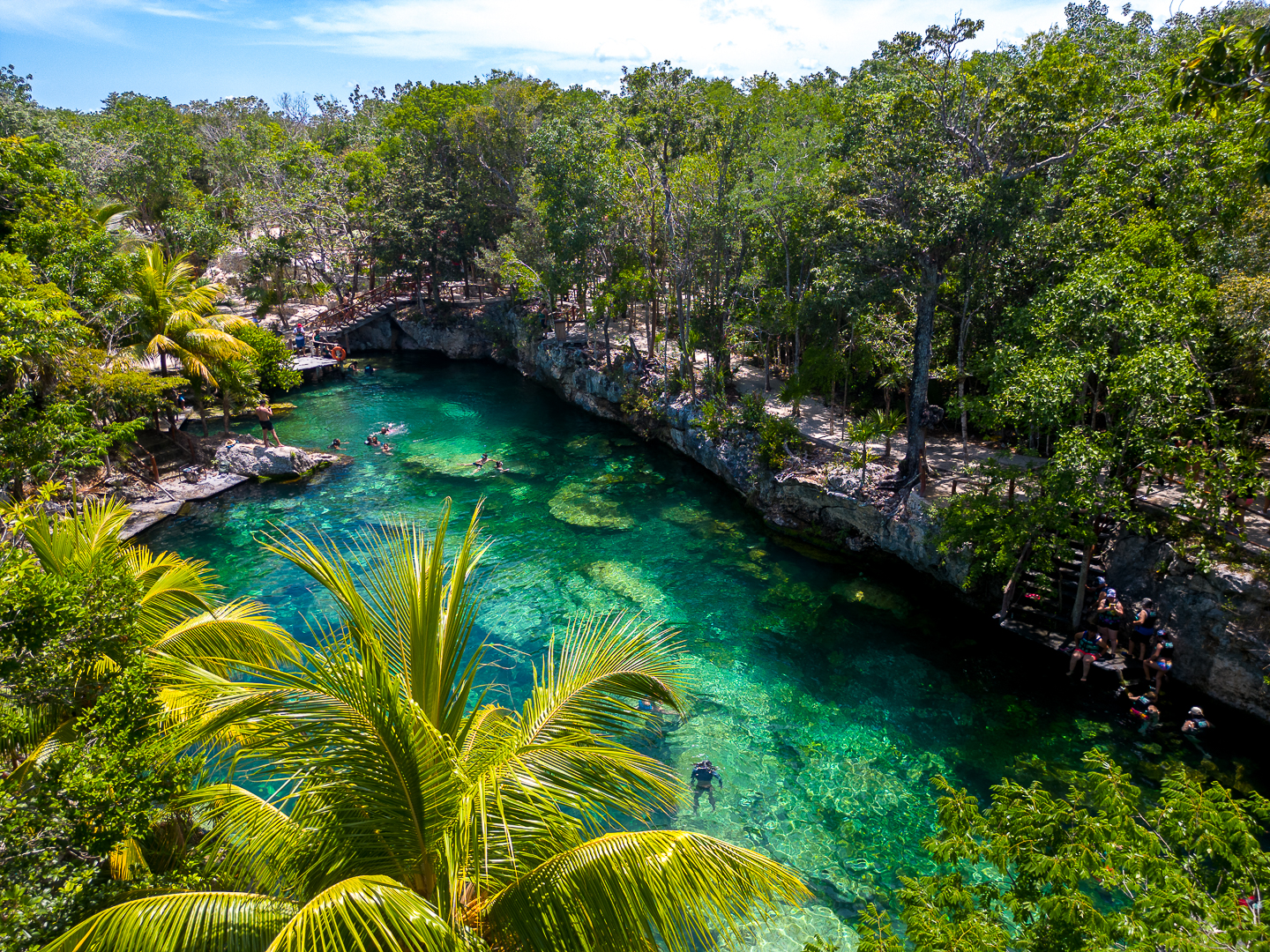 Cenote abierto de agua turquesa rodeado de selva y palmeras
